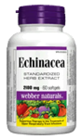 Echinacea, Standardized Herb Extract (8:1 extract), 2100 mg, 60 softgels/BONUS! 50% MORE, 60 30 softgels